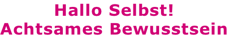 Hallo Selbst! Achtsames Bewusstsein